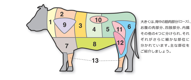 牛肉の部位図